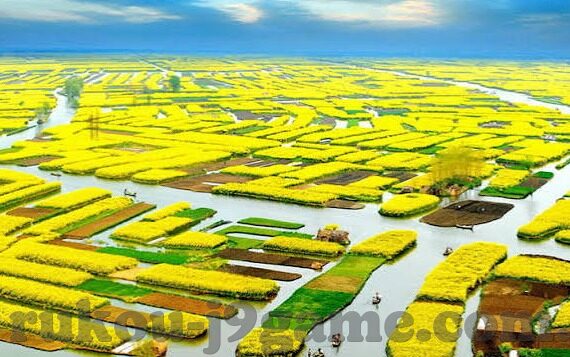 开云app正规吗-开云App，探索其正规性与特性的深度透视
